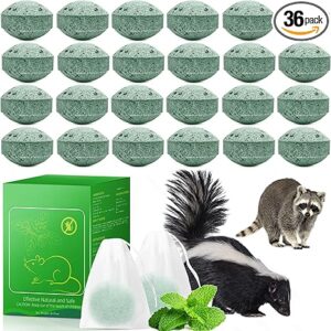 24 Pack Raccoon & Skunk for Yard